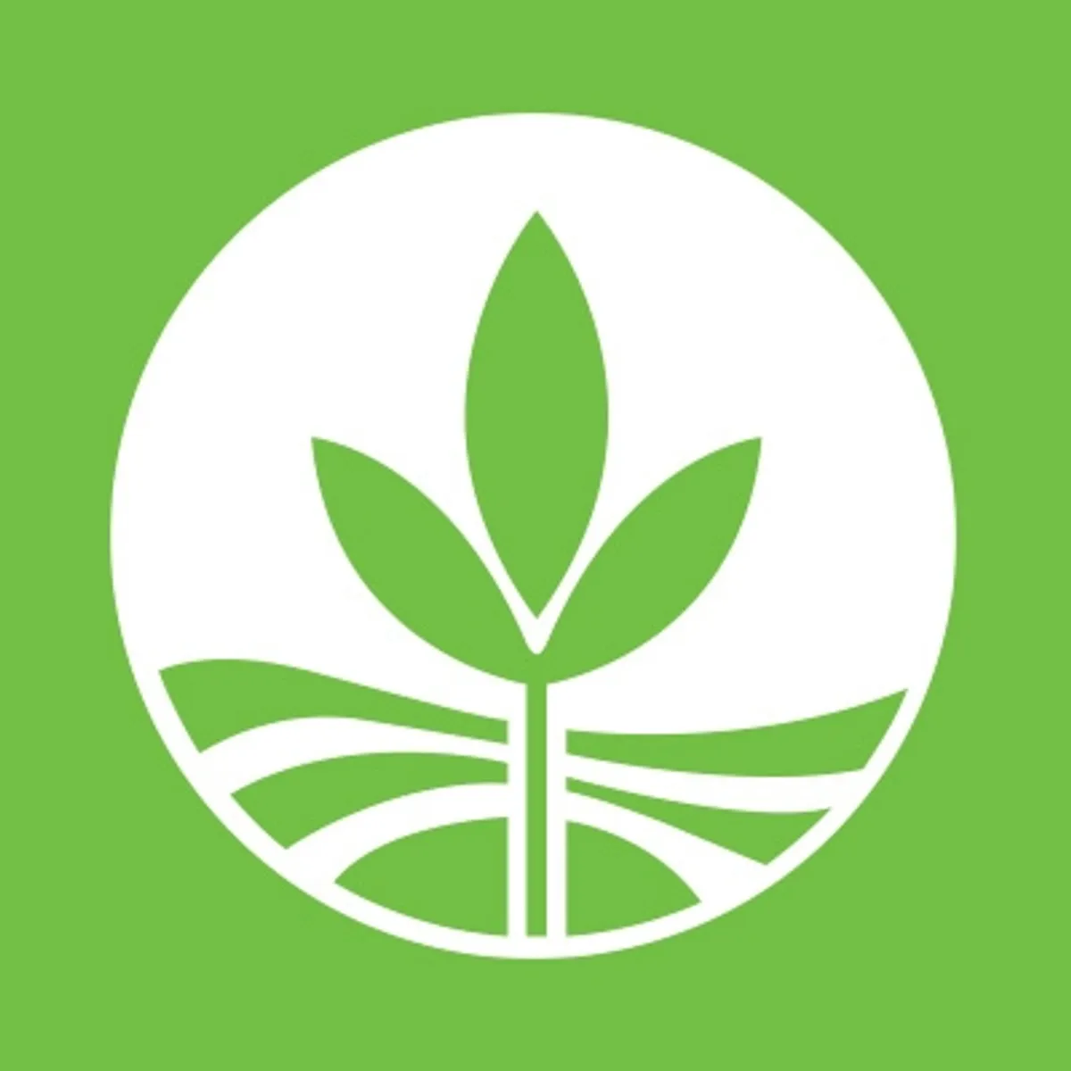 Land Bank of the Philippines