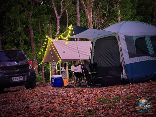 Camp Joehey Forest by the Sea